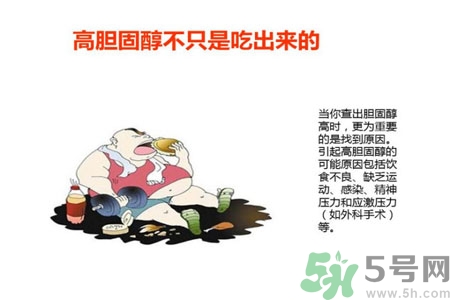 高膽固醇人群該怎么辦？膽固醇高需注意什么？