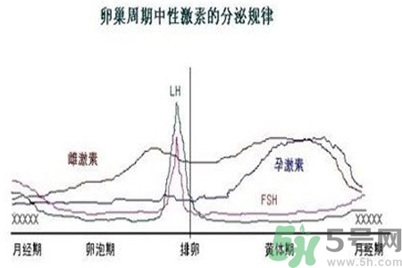 如何分清常見(jiàn)的激素藥？如何正確使用激素類(lèi)藥物？