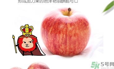 姬娜果是什么？姬娜果的功效作用