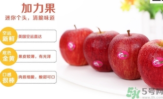 姬娜果是什么？姬娜果的功效作用