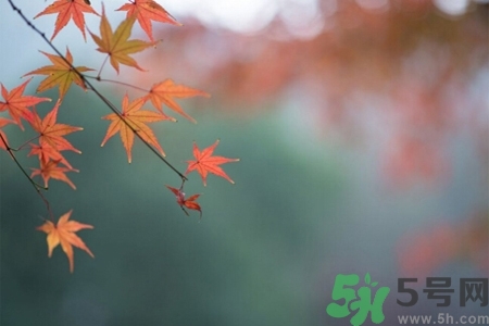 秋老虎如何謹(jǐn)防皮膚病？秋老虎如何預(yù)防皮膚??？