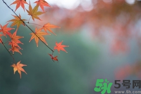 秋天換季病有哪些？秋天該如何保健養(yǎng)生呢？
