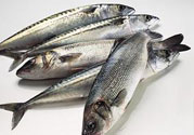 金槍魚的營(yíng)養(yǎng)價(jià)值 金槍魚的功效與作用及食用方法