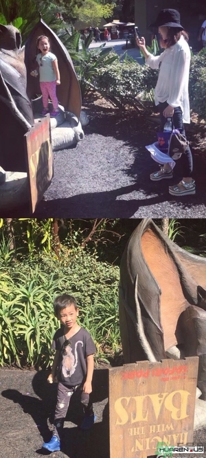 王寶強老婆馬蓉在美國嗎？婚姻中攜款逃跑受什么處罰？