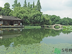 菱角是什么？菱角是什么季節(jié)成熟的？