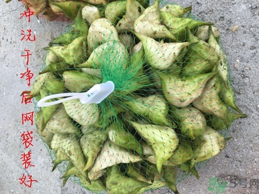 菱角和豬肉能一起吃嗎？菱角和什么不能一起吃？