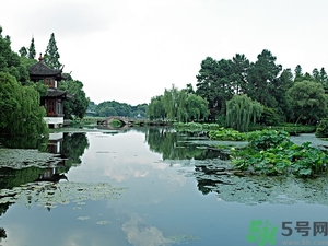 菱角是什么？菱角是什么季節(jié)成熟的？