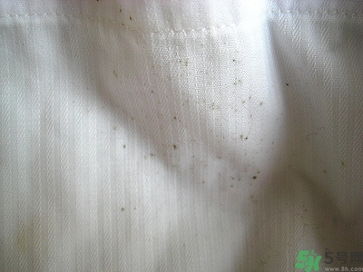 衣服長(zhǎng)黑點(diǎn)怎么洗掉？衣服上長(zhǎng)霉點(diǎn)怎么去除？