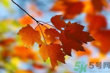 女性秋季防燥需注意哪些？女性秋季防燥吃什么？