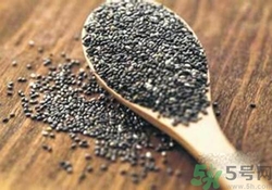 奇亞籽是什么？奇亞籽的功效作用