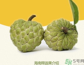 釋迦果怎么吃？釋迦的營養(yǎng)價值功效作用
