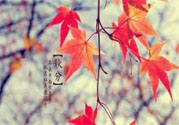 秋燥的表現(xiàn)是什么？小孩如何預(yù)防秋燥？
