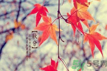 秋燥是什么？秋燥怎么辦？
