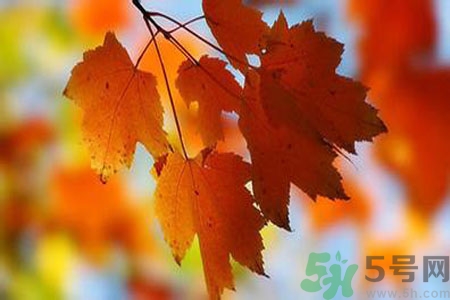 秋燥是什么？秋燥怎么辦？