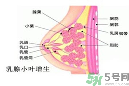 女性乳腺增生的原因是什么？乳腺增生的癥狀有哪些？