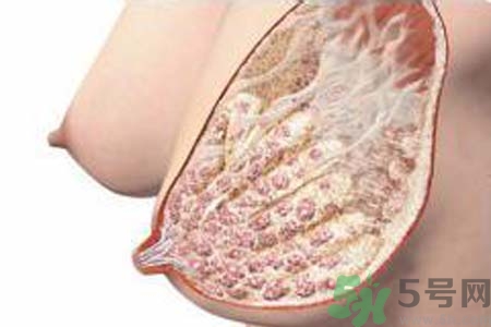 乳腺增生可以懷孕嗎？如何預(yù)防乳腺增生？