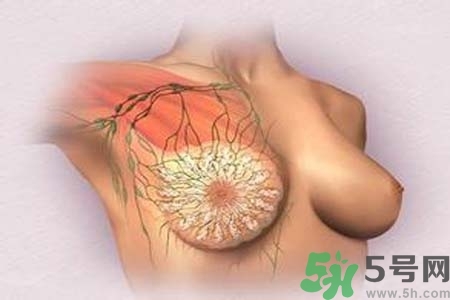 乳頭發(fā)黑怎么辦？怎么樣可以使乳頭變白？