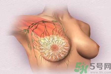 乳頭發(fā)黑是怎么回事？乳頭發(fā)黑是什么原因？