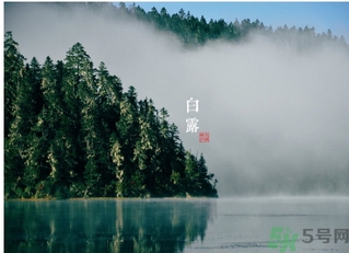 白露是什么意思？白露是幾月幾日