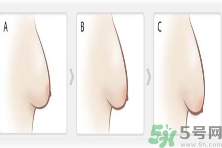如何預防胸部松弛？吃什么能使胸部挺拔？