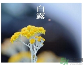 白露身不露是什么意思？白露還熱嗎？