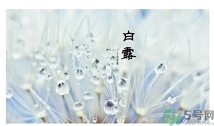 白露身不露是什么意思？白露還熱嗎？