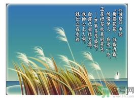 白露茶是什么茶？白露為什么要喝白露茶？