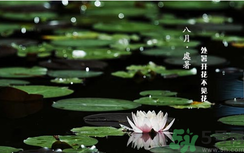 處暑如何養(yǎng)生？處暑養(yǎng)生要注意什么？