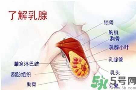 乳房上有硬塊怎么辦？乳房有硬塊的病因是什么？
