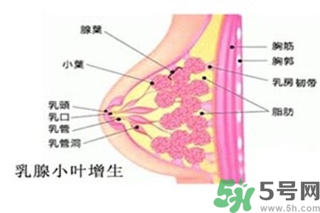 乳房上有硬塊怎么辦？乳房有硬塊的病因是什么？
