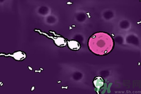 什么是宮內節(jié)育器？放置宮內節(jié)育器為什么能避孕？