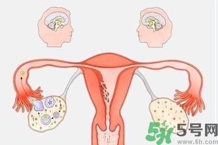 陰道出血癥狀有哪些？陰道出血需注意什么問題？