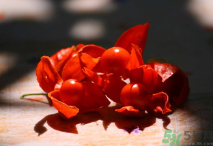 紅姑娘怎么吃？紅姑娘怎么保存？