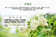 洋槐蜜的鑒別方法是什么？洋槐蜜多少錢(qián)一斤？