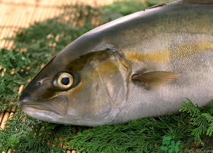 魚眼睛可以吃嗎？吃魚眼睛有什么好處？