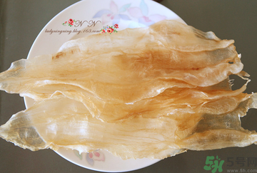 魚膠是什么？魚膠的功效與作用？