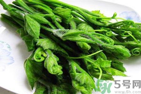 南瓜藤的功效作用有哪些？南瓜藤的食用價值是什么？