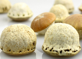 壯陽(yáng)果怎么泡酒？ 壯陽(yáng)果泡酒的功效與作用