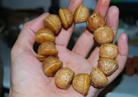 壯陽(yáng)果怎么泡酒？ 壯陽(yáng)果泡酒的功效與作用