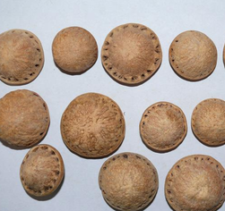 壯陽(yáng)果怎么泡酒？ 壯陽(yáng)果泡酒的功效與作用