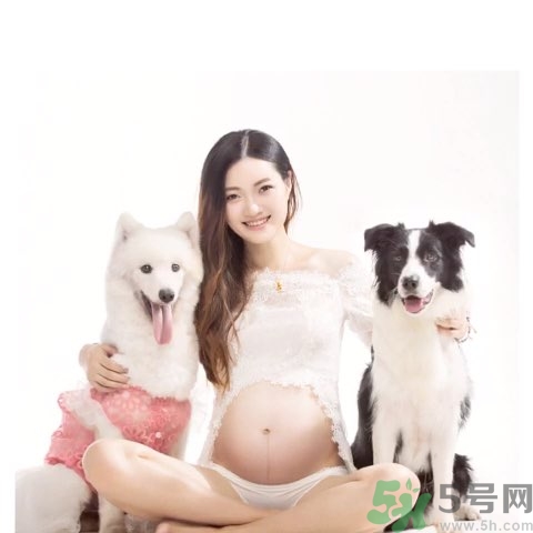 孕婦可以養(yǎng)狗嗎？養(yǎng)狗對(duì)孕婦有影響嗎？