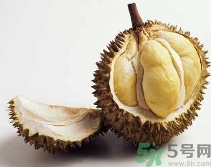 榴蓮能放冰箱嗎？榴蓮放在冰箱能保存幾天？