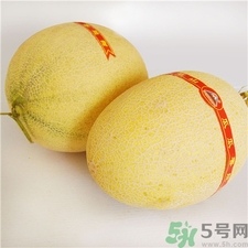 哈密瓜可以放冰箱嗎?哈密瓜放冰箱變苦怎么辦? 哈密瓜可以放冰箱嗎?哈密瓜放冰箱變苦怎么辦?