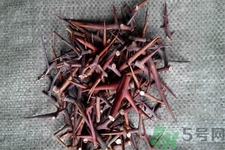 皂角刺的藥用價(jià)值是什么？皂角刺的功效與作用有哪些？
