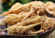 吃瑪卡有副作用嗎？吃瑪卡的副作用及禁忌