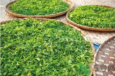 普洱茶怎么保存？茶葉能放冰箱嗎？