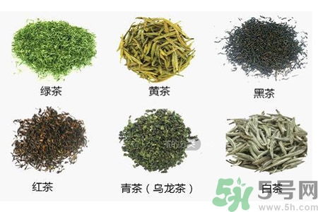 如何自制減肥茶？自制減肥茶需要哪些材料？