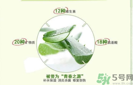 the saem得鮮和自然樂園哪個(gè)好？得鮮的蘆薈膠和自然樂園哪個(gè)好？