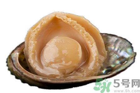 鮑魚如何挑選？鮑魚怎么保存？