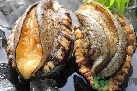 鮑魚的營養(yǎng)價值有哪些？鮑魚的藥用價值是什么？